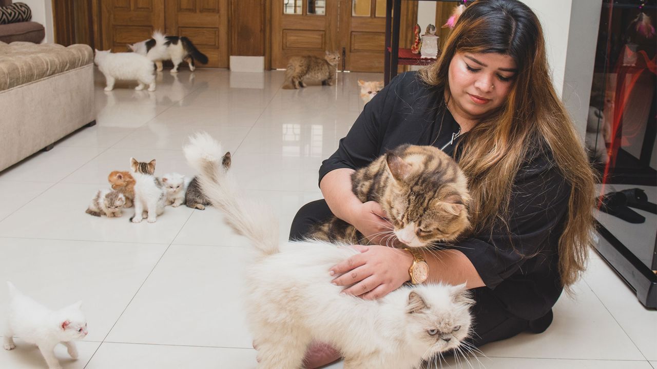 In Conversation with Cat Lovers of Bangladesh Founder Sanjana Sashin