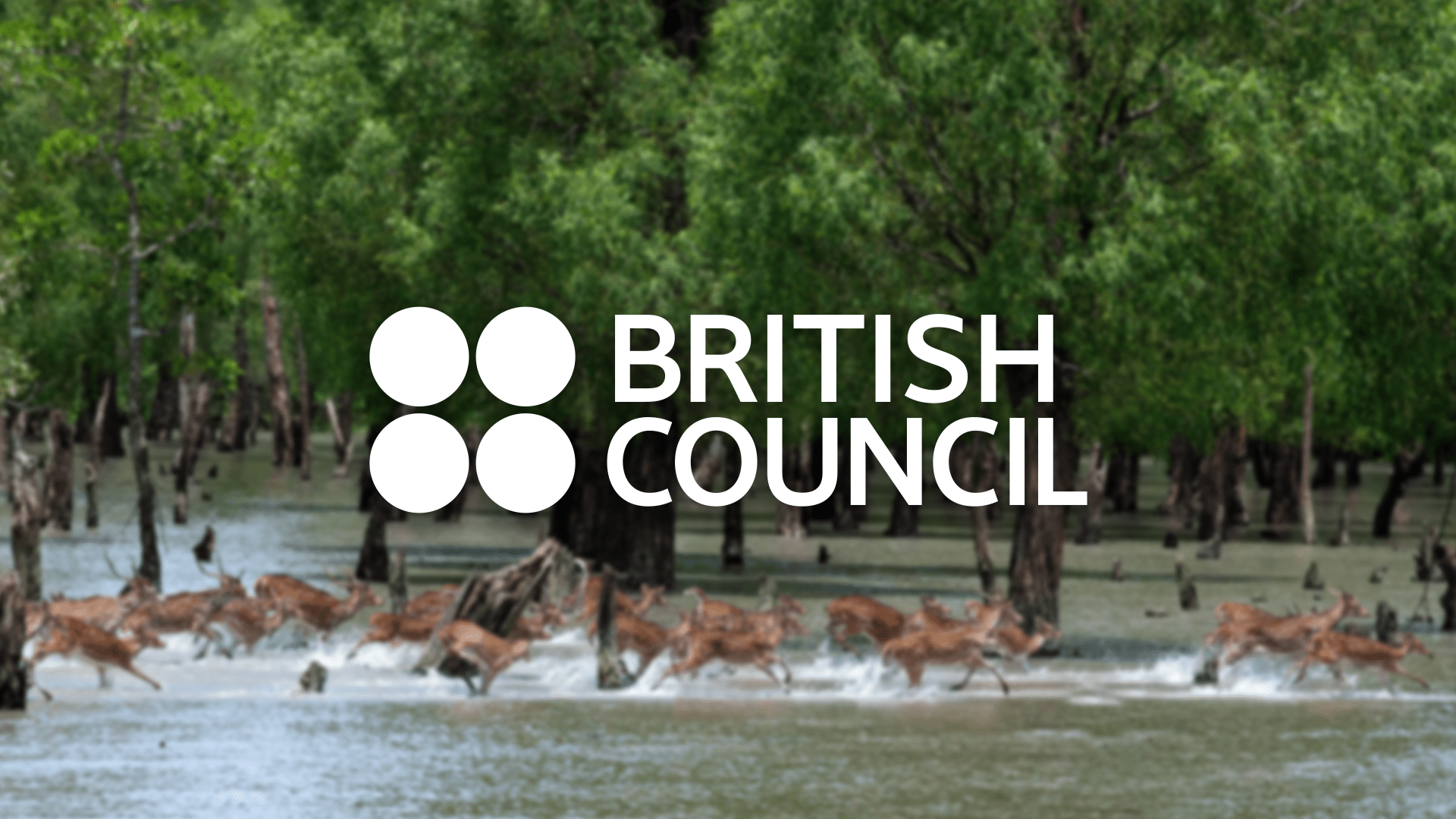 Sundarbans Across Borders: Celebrating Cultural Resilience and Shared Heritage